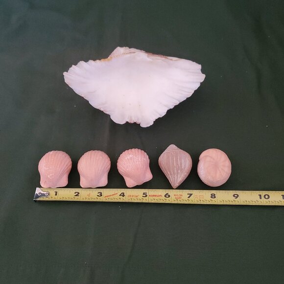 Extra Large Sandy Clam Shell with 5 Small Decorative Seashell Soaps - Picture 14 of 14